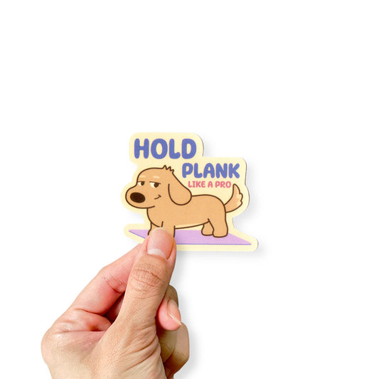 Pilates Goals Stickers